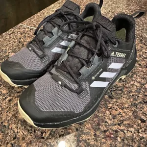 Adidas Terrex all terrain CrossFit shoes