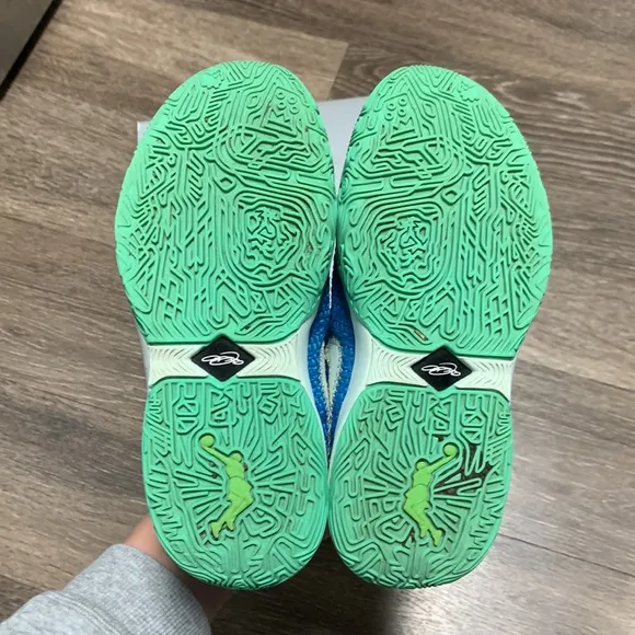 Lebron James 20 (XX) basketball shoes