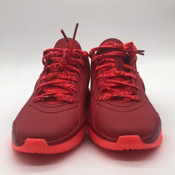 Mens Nike Lebron XXI All Red HF5951-600 NWOB