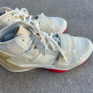 Nike Air Jordan Zion 2 “fossil “ do8990-217 men’s leather great graphics all