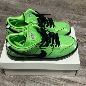 Nike Dunk SB, men’s size 11, (used) Worn 1.-2, og all