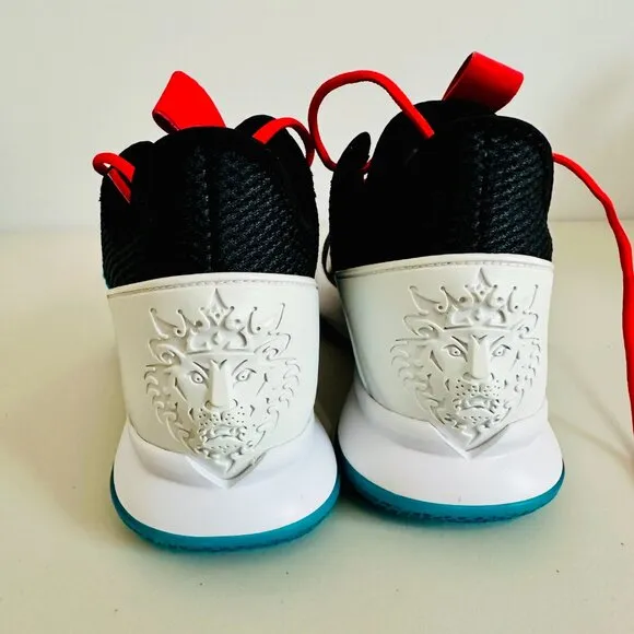 NIKE LEBRON JAMES WITNESS IV SNEAKERS BASKETBALL SHOES  LIMITED EDITION 10