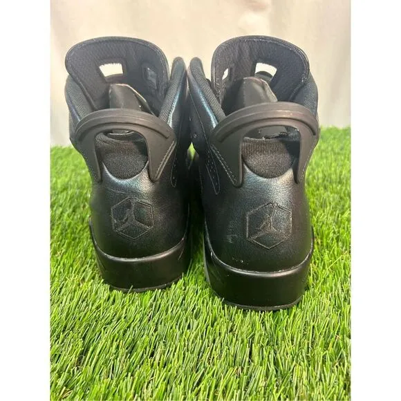 Size 12 - Air Jordan 6 Retro All Star - Chameleon Black Blue Purple (907961-015)