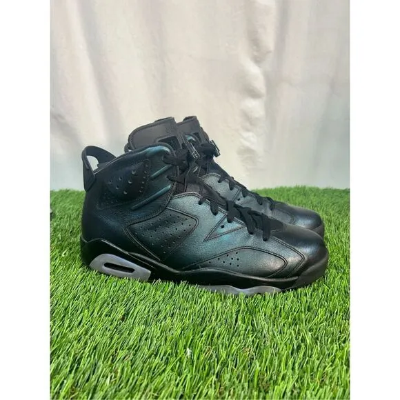 Size 12 - Air Jordan 6 Retro All Star - Chameleon Black Blue Purple (907961-015)