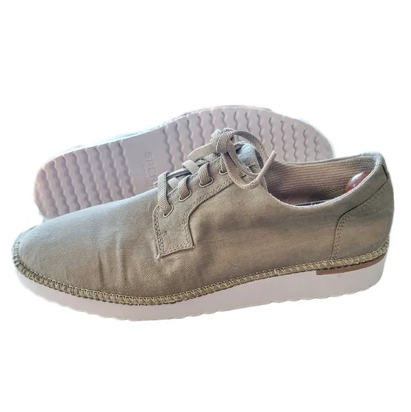 Sperry \ Men's Camden Canvas Oxford Shoes / Smokey Taupe / 10