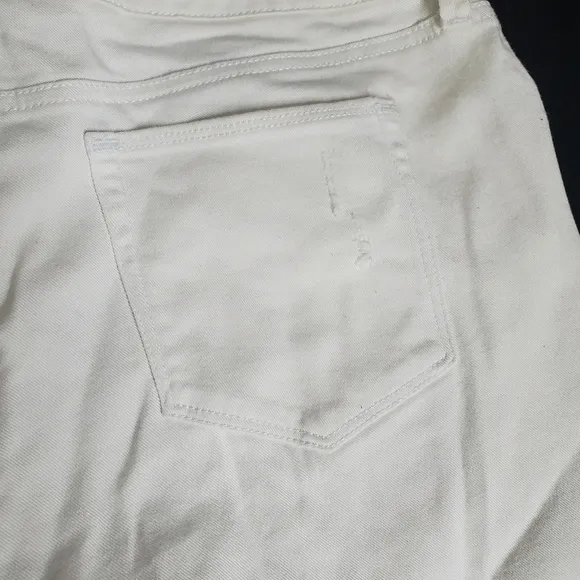 Style and Co. Woman’s shorts Size 12