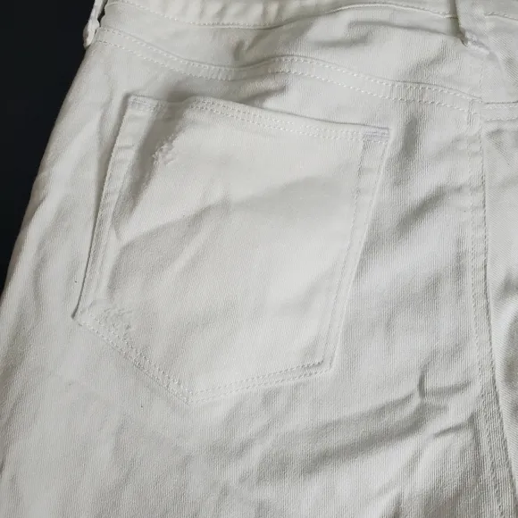 Style and Co. Woman’s shorts Size 12