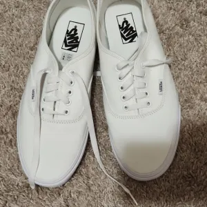 Van Canvas t shoes size 11