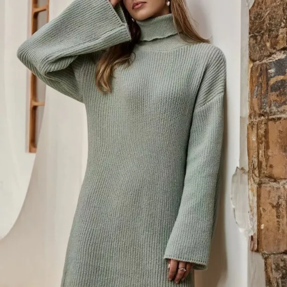 Warm Hug Turtleneck Sweater Dress